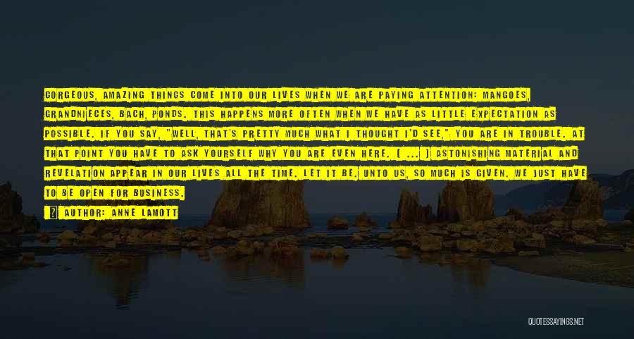 Anne Lamott Quotes: Gorgeous, Amazing Things Come Into Our Lives When We Are Paying Attention: Mangoes, Grandnieces, Bach, Ponds. This Happens More Often