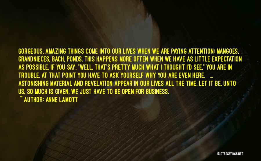 Anne Lamott Quotes: Gorgeous, Amazing Things Come Into Our Lives When We Are Paying Attention: Mangoes, Grandnieces, Bach, Ponds. This Happens More Often