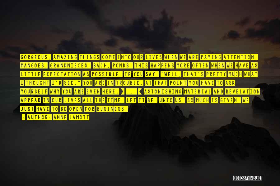 Anne Lamott Quotes: Gorgeous, Amazing Things Come Into Our Lives When We Are Paying Attention: Mangoes, Grandnieces, Bach, Ponds. This Happens More Often