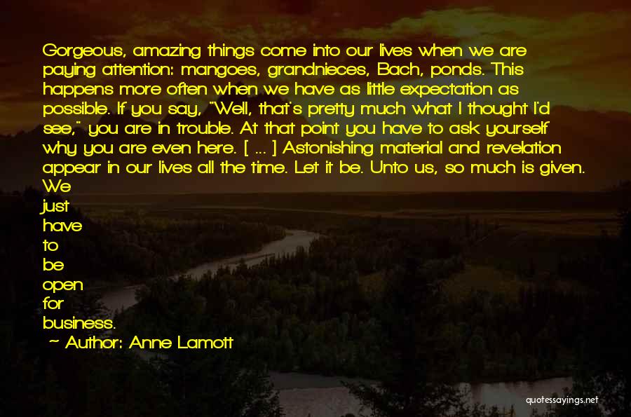 Anne Lamott Quotes: Gorgeous, Amazing Things Come Into Our Lives When We Are Paying Attention: Mangoes, Grandnieces, Bach, Ponds. This Happens More Often