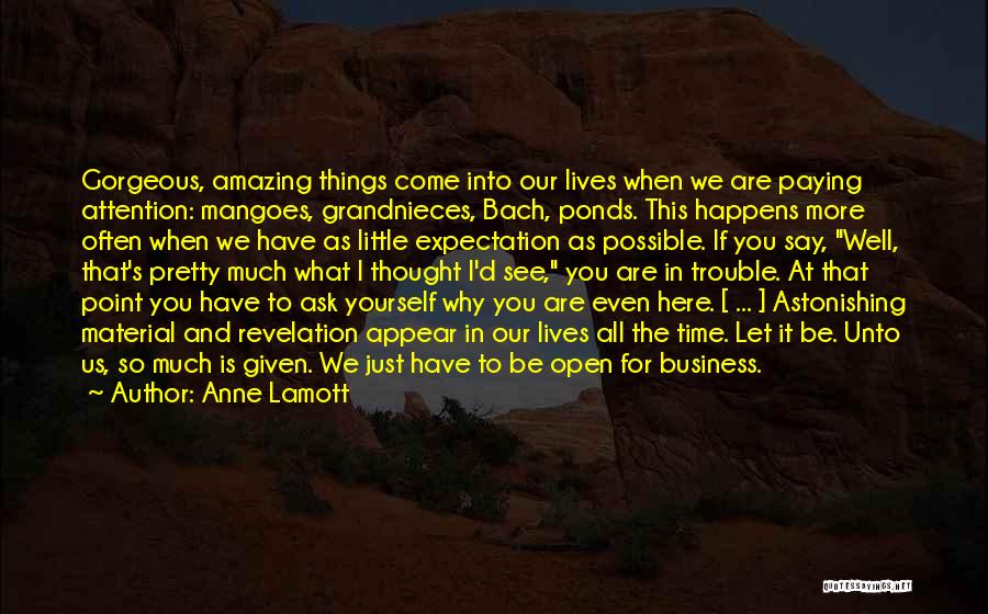 Anne Lamott Quotes: Gorgeous, Amazing Things Come Into Our Lives When We Are Paying Attention: Mangoes, Grandnieces, Bach, Ponds. This Happens More Often