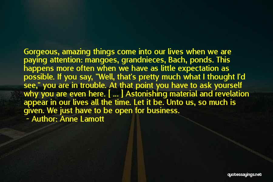 Anne Lamott Quotes: Gorgeous, Amazing Things Come Into Our Lives When We Are Paying Attention: Mangoes, Grandnieces, Bach, Ponds. This Happens More Often