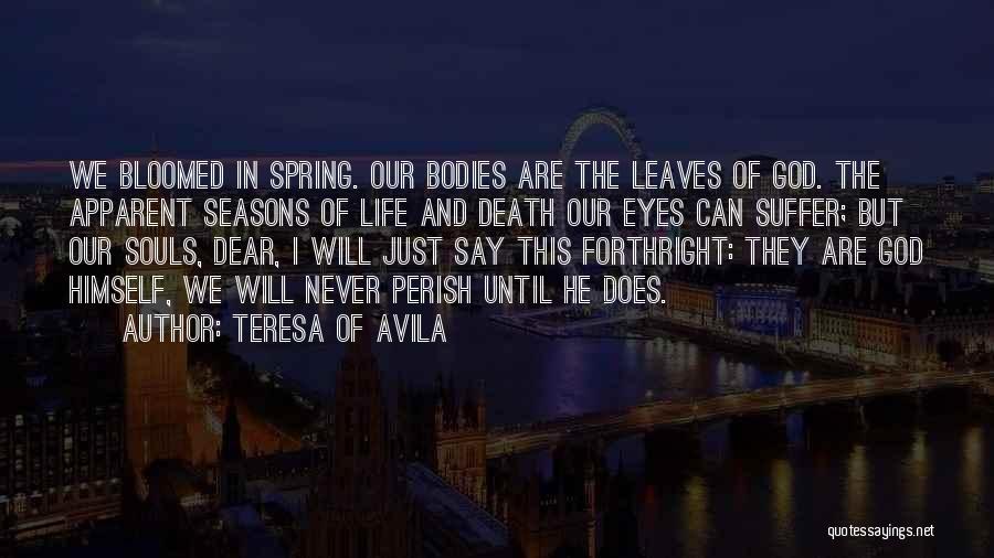 Teresa Of Avila Quotes: We Bloomed In Spring. Our Bodies Are The Leaves Of God. The Apparent Seasons Of Life And Death Our Eyes