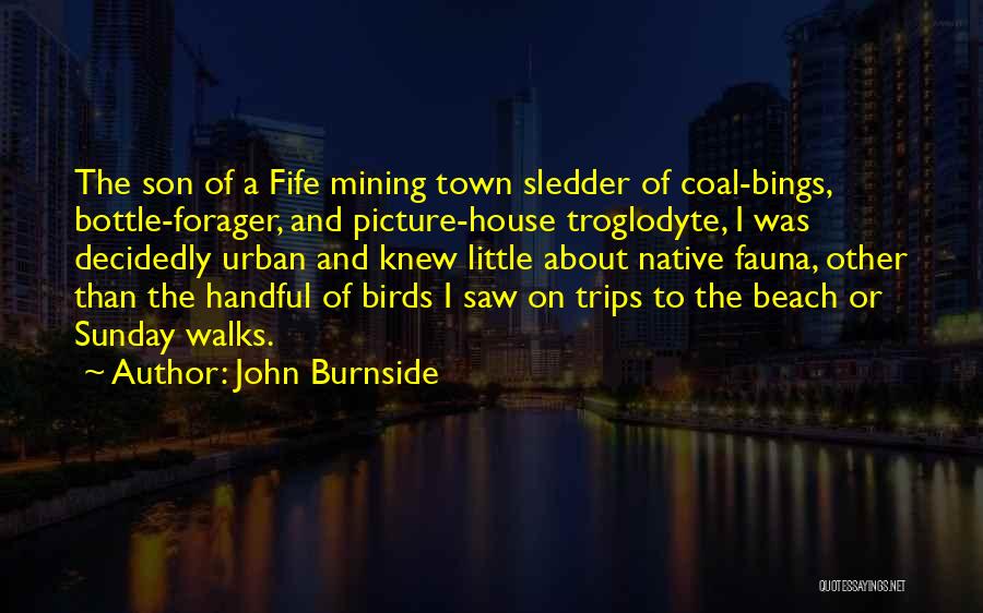 John Burnside Quotes: The Son Of A Fife Mining Town Sledder Of Coal-bings, Bottle-forager, And Picture-house Troglodyte, I Was Decidedly Urban And Knew