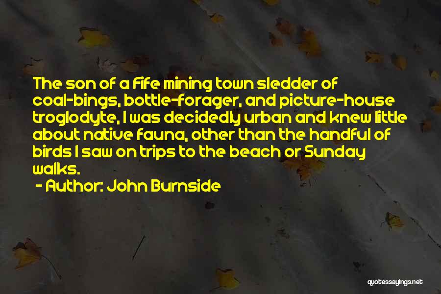 John Burnside Quotes: The Son Of A Fife Mining Town Sledder Of Coal-bings, Bottle-forager, And Picture-house Troglodyte, I Was Decidedly Urban And Knew