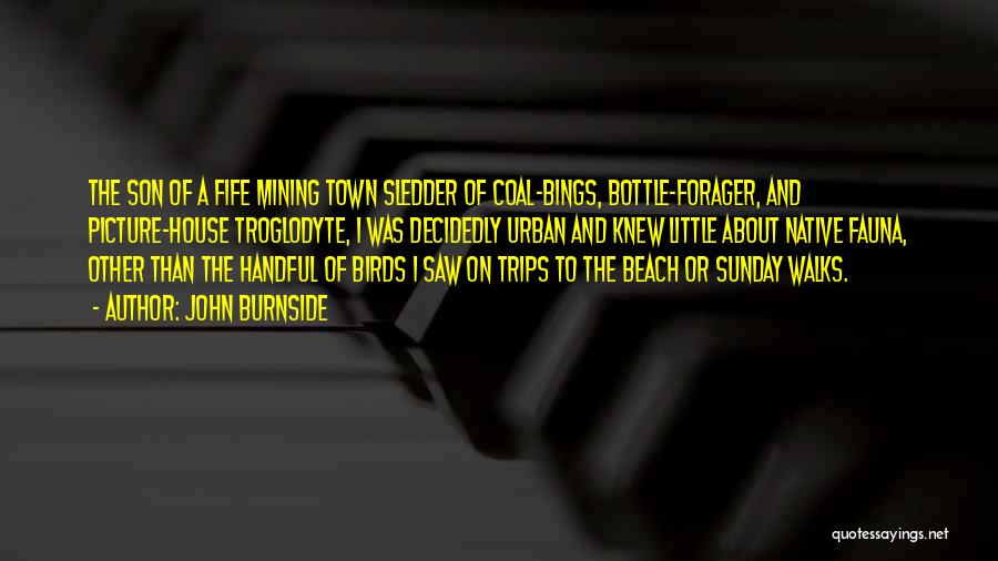 John Burnside Quotes: The Son Of A Fife Mining Town Sledder Of Coal-bings, Bottle-forager, And Picture-house Troglodyte, I Was Decidedly Urban And Knew