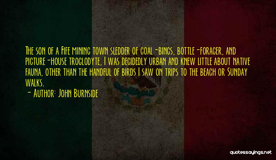 John Burnside Quotes: The Son Of A Fife Mining Town Sledder Of Coal-bings, Bottle-forager, And Picture-house Troglodyte, I Was Decidedly Urban And Knew