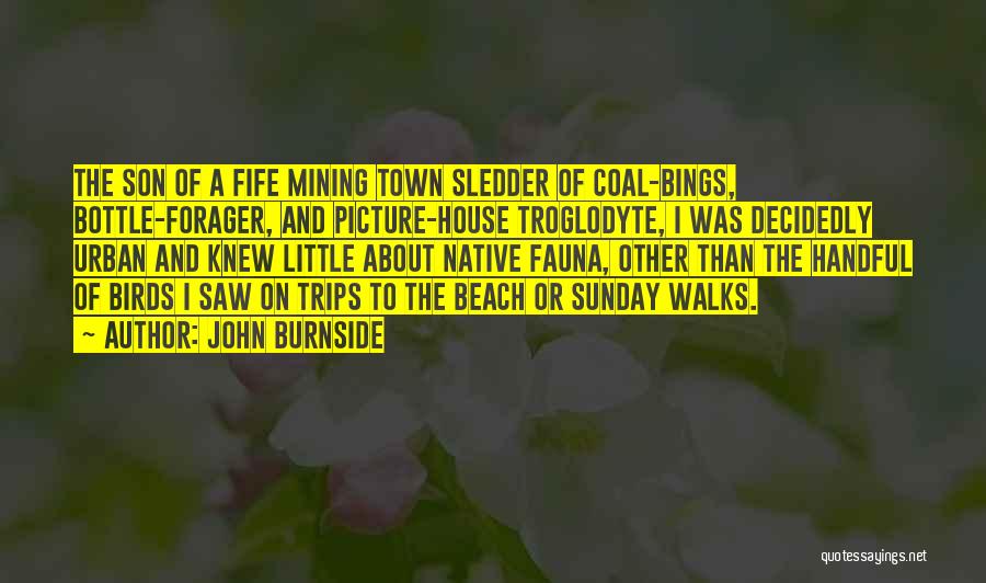 John Burnside Quotes: The Son Of A Fife Mining Town Sledder Of Coal-bings, Bottle-forager, And Picture-house Troglodyte, I Was Decidedly Urban And Knew