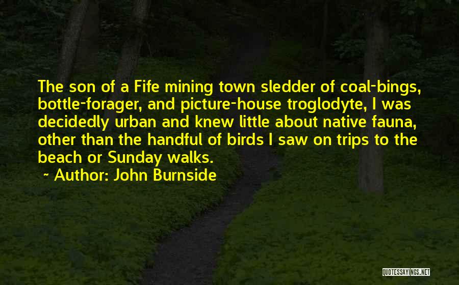 John Burnside Quotes: The Son Of A Fife Mining Town Sledder Of Coal-bings, Bottle-forager, And Picture-house Troglodyte, I Was Decidedly Urban And Knew