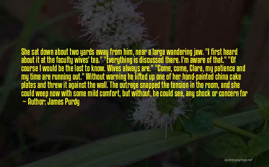 James Purdy Quotes: She Sat Down About Two Yards Away From Him, Near A Large Wandering Jew. I First Heard About It At