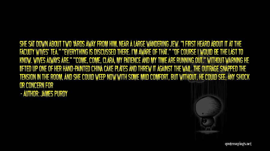 James Purdy Quotes: She Sat Down About Two Yards Away From Him, Near A Large Wandering Jew. I First Heard About It At