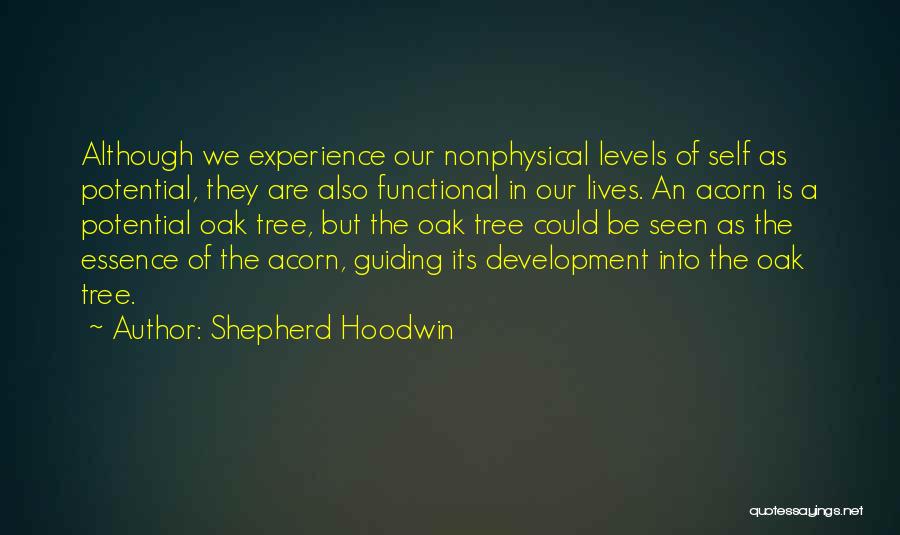 Shepherd Hoodwin Quotes: Although We Experience Our Nonphysical Levels Of Self As Potential, They Are Also Functional In Our Lives. An Acorn Is