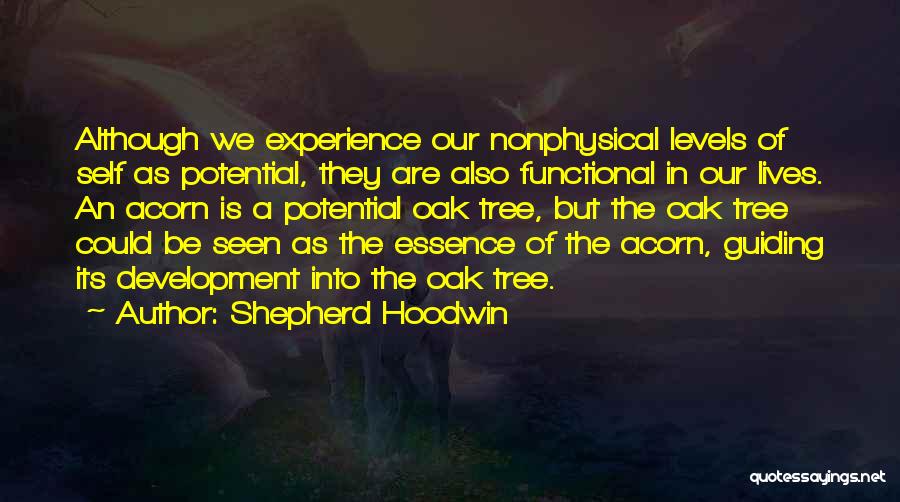 Shepherd Hoodwin Quotes: Although We Experience Our Nonphysical Levels Of Self As Potential, They Are Also Functional In Our Lives. An Acorn Is