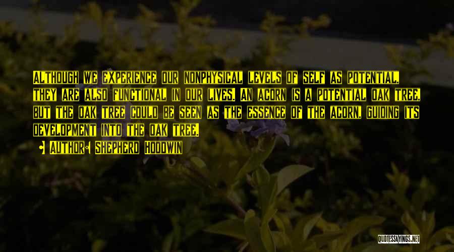 Shepherd Hoodwin Quotes: Although We Experience Our Nonphysical Levels Of Self As Potential, They Are Also Functional In Our Lives. An Acorn Is