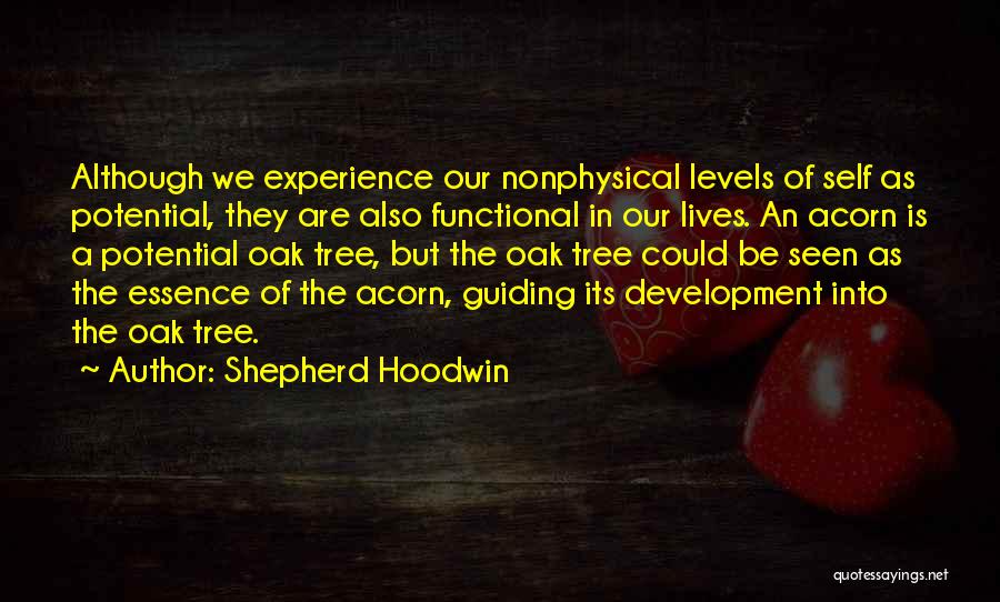 Shepherd Hoodwin Quotes: Although We Experience Our Nonphysical Levels Of Self As Potential, They Are Also Functional In Our Lives. An Acorn Is