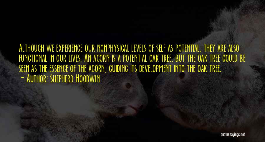 Shepherd Hoodwin Quotes: Although We Experience Our Nonphysical Levels Of Self As Potential, They Are Also Functional In Our Lives. An Acorn Is