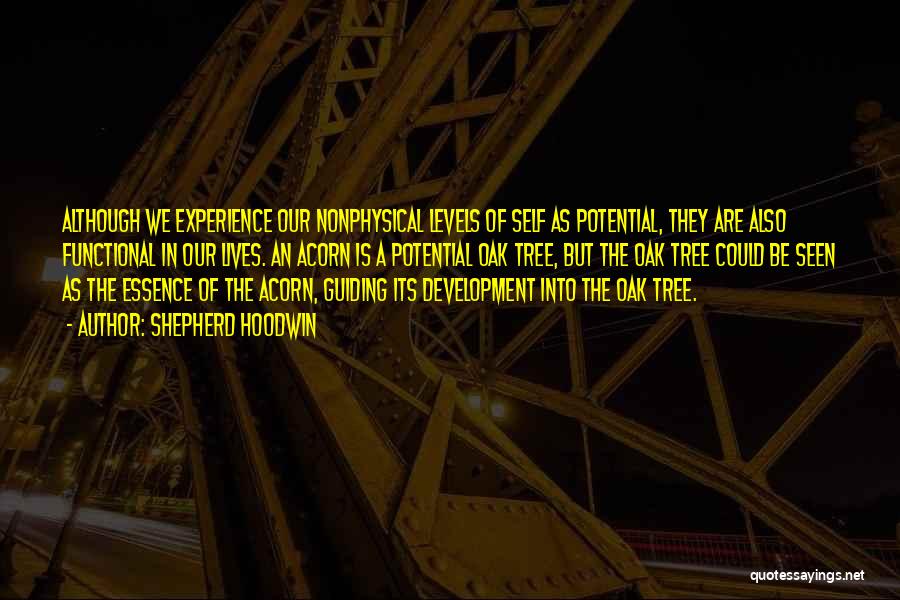 Shepherd Hoodwin Quotes: Although We Experience Our Nonphysical Levels Of Self As Potential, They Are Also Functional In Our Lives. An Acorn Is