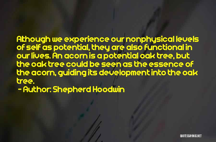 Shepherd Hoodwin Quotes: Although We Experience Our Nonphysical Levels Of Self As Potential, They Are Also Functional In Our Lives. An Acorn Is