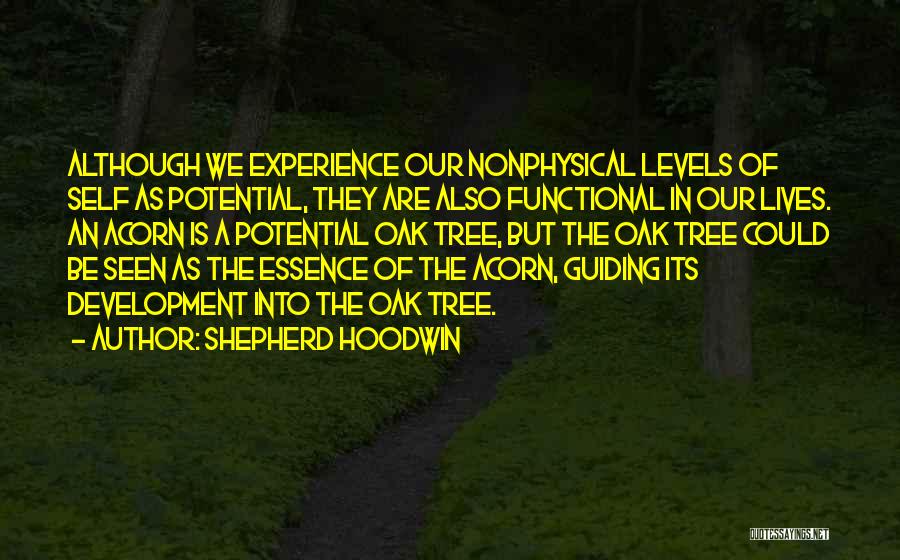 Shepherd Hoodwin Quotes: Although We Experience Our Nonphysical Levels Of Self As Potential, They Are Also Functional In Our Lives. An Acorn Is