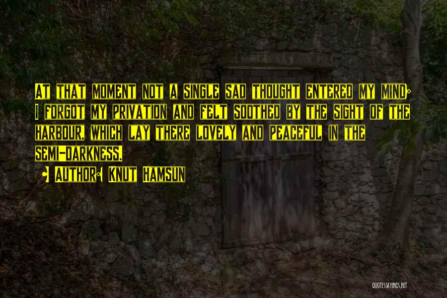 Knut Hamsun Quotes: At That Moment Not A Single Sad Thought Entered My Mind; I Forgot My Privation And Felt Soothed By The