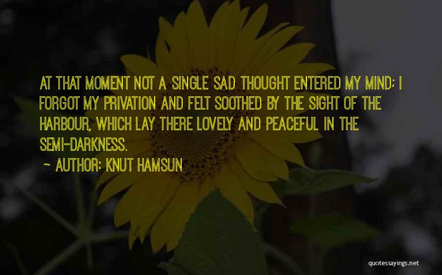 Knut Hamsun Quotes: At That Moment Not A Single Sad Thought Entered My Mind; I Forgot My Privation And Felt Soothed By The