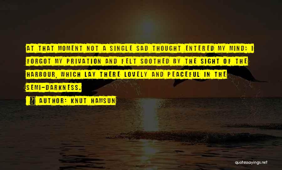 Knut Hamsun Quotes: At That Moment Not A Single Sad Thought Entered My Mind; I Forgot My Privation And Felt Soothed By The