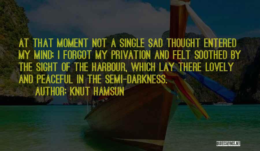 Knut Hamsun Quotes: At That Moment Not A Single Sad Thought Entered My Mind; I Forgot My Privation And Felt Soothed By The