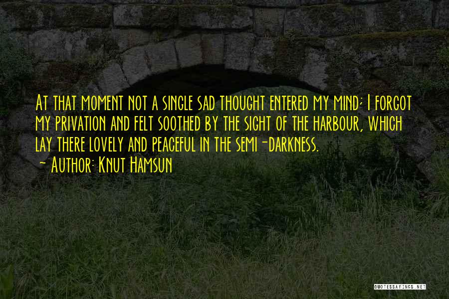 Knut Hamsun Quotes: At That Moment Not A Single Sad Thought Entered My Mind; I Forgot My Privation And Felt Soothed By The