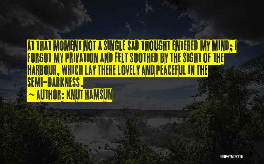 Knut Hamsun Quotes: At That Moment Not A Single Sad Thought Entered My Mind; I Forgot My Privation And Felt Soothed By The