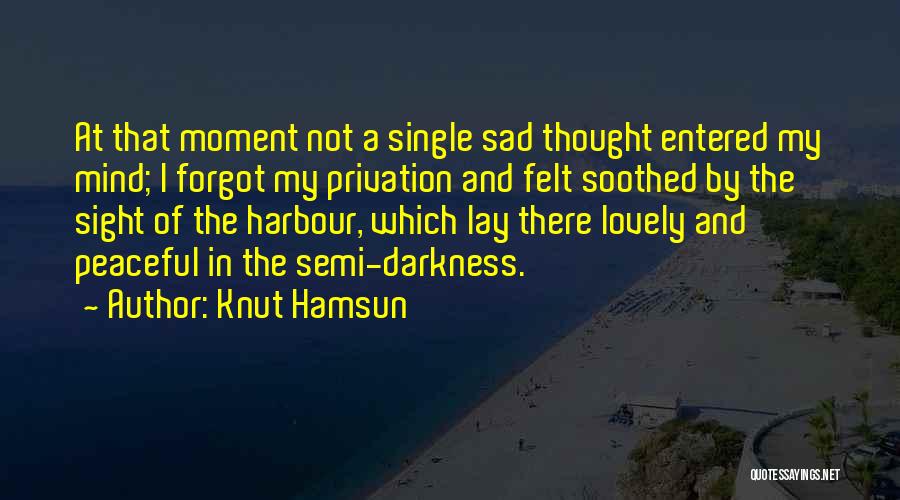 Knut Hamsun Quotes: At That Moment Not A Single Sad Thought Entered My Mind; I Forgot My Privation And Felt Soothed By The