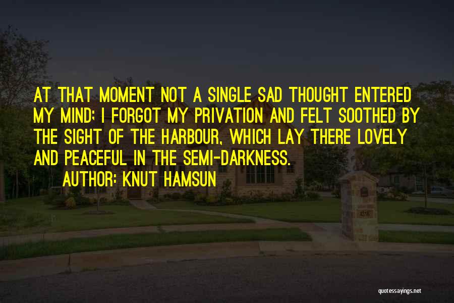 Knut Hamsun Quotes: At That Moment Not A Single Sad Thought Entered My Mind; I Forgot My Privation And Felt Soothed By The