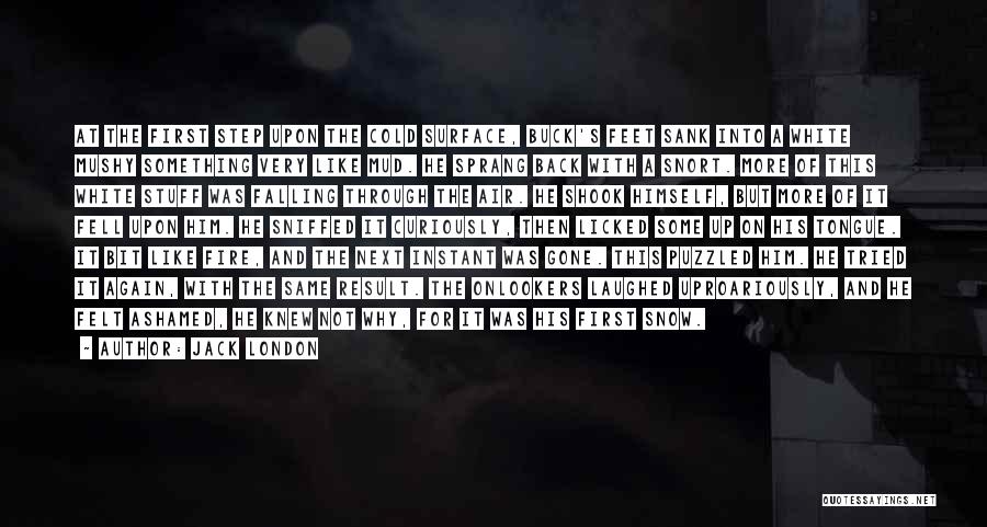 Jack London Quotes: At The First Step Upon The Cold Surface, Buck's Feet Sank Into A White Mushy Something Very Like Mud. He