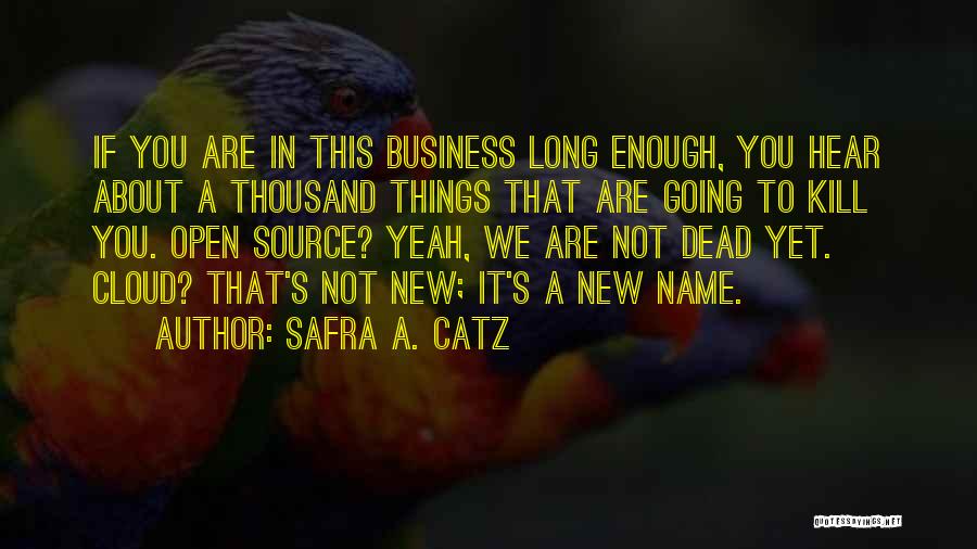 Safra A. Catz Quotes: If You Are In This Business Long Enough, You Hear About A Thousand Things That Are Going To Kill You.