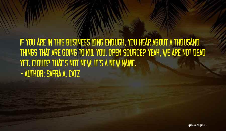 Safra A. Catz Quotes: If You Are In This Business Long Enough, You Hear About A Thousand Things That Are Going To Kill You.