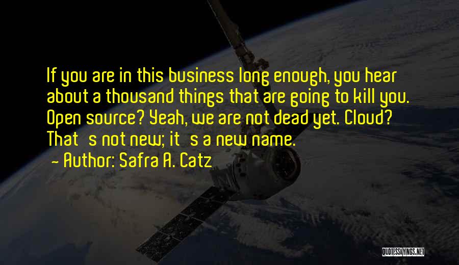 Safra A. Catz Quotes: If You Are In This Business Long Enough, You Hear About A Thousand Things That Are Going To Kill You.