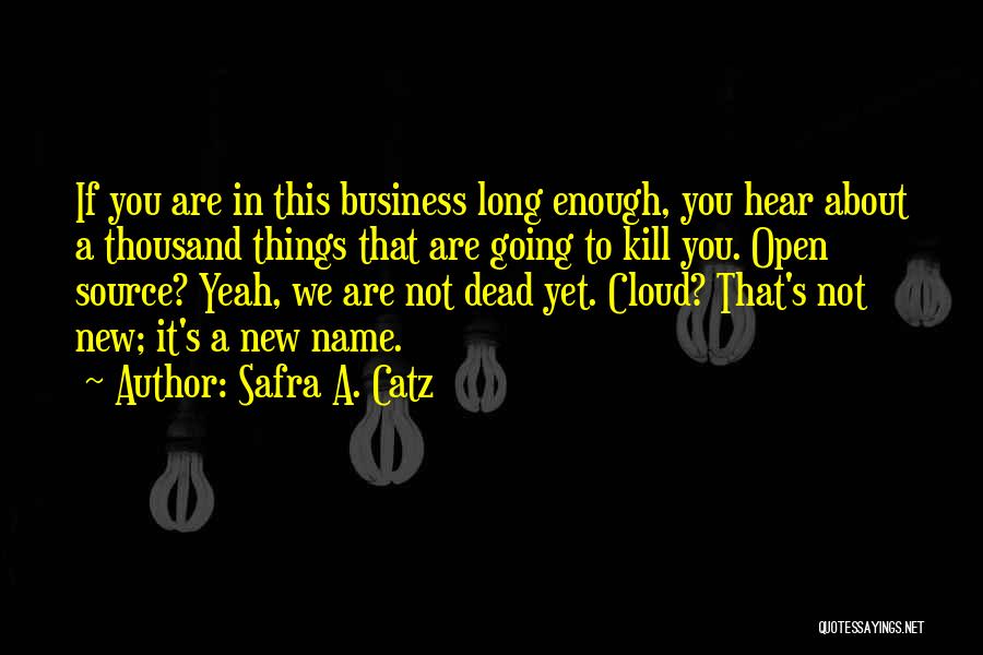 Safra A. Catz Quotes: If You Are In This Business Long Enough, You Hear About A Thousand Things That Are Going To Kill You.