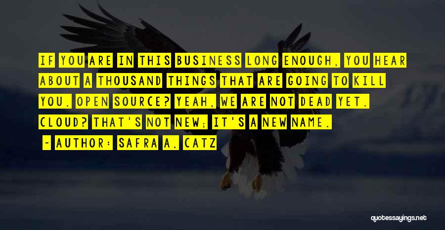 Safra A. Catz Quotes: If You Are In This Business Long Enough, You Hear About A Thousand Things That Are Going To Kill You.