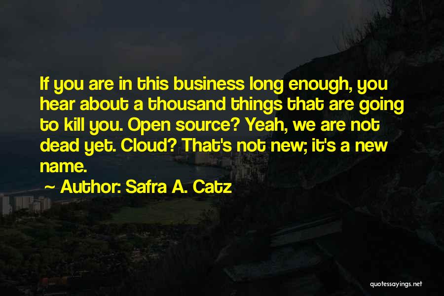 Safra A. Catz Quotes: If You Are In This Business Long Enough, You Hear About A Thousand Things That Are Going To Kill You.
