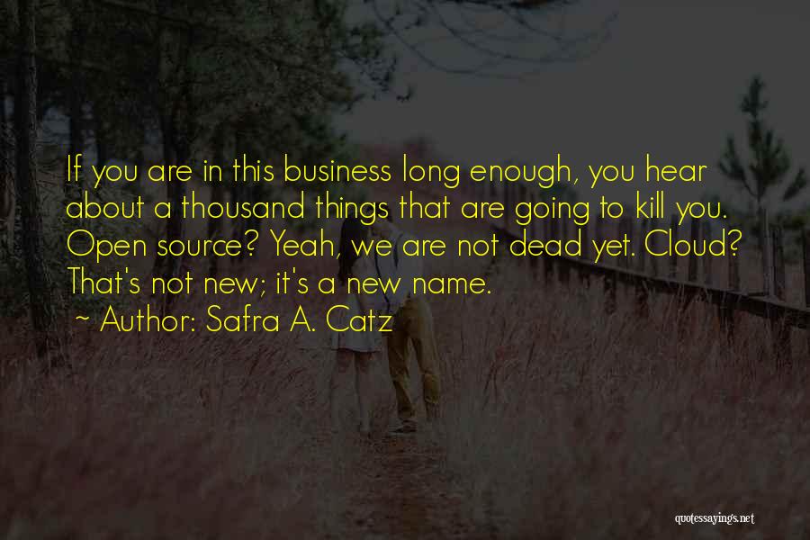 Safra A. Catz Quotes: If You Are In This Business Long Enough, You Hear About A Thousand Things That Are Going To Kill You.