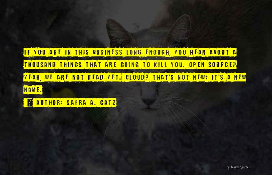 Safra A. Catz Quotes: If You Are In This Business Long Enough, You Hear About A Thousand Things That Are Going To Kill You.