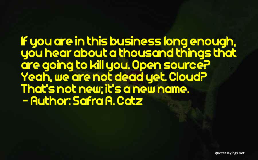 Safra A. Catz Quotes: If You Are In This Business Long Enough, You Hear About A Thousand Things That Are Going To Kill You.