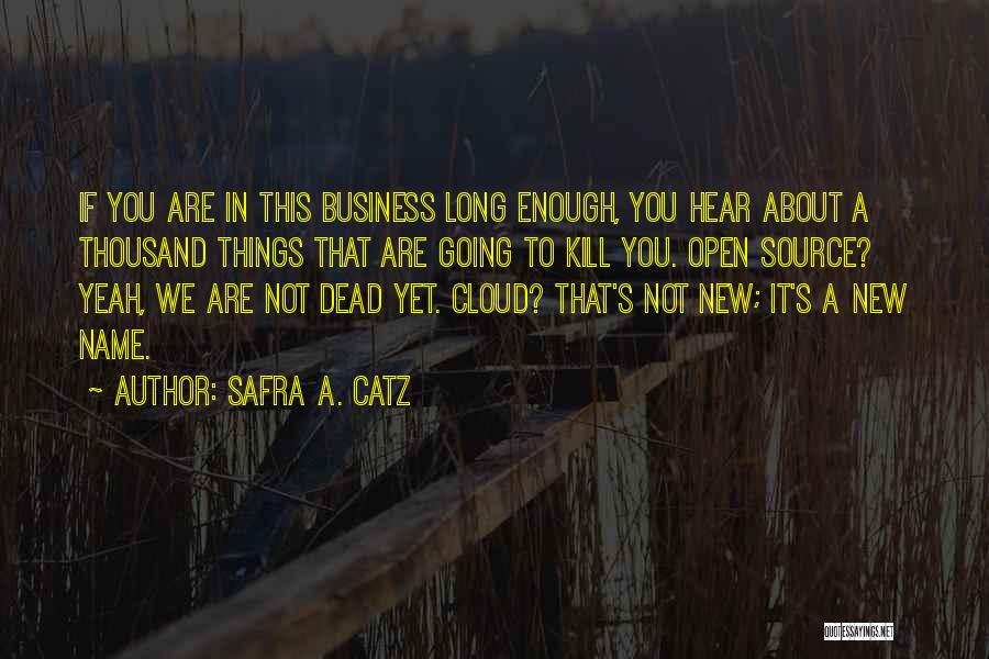 Safra A. Catz Quotes: If You Are In This Business Long Enough, You Hear About A Thousand Things That Are Going To Kill You.