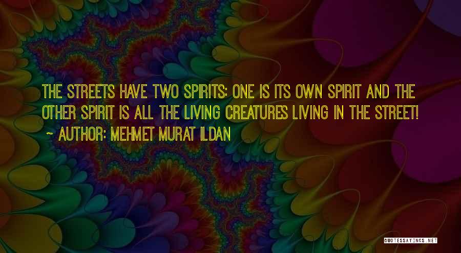 Mehmet Murat Ildan Quotes: The Streets Have Two Spirits: One Is Its Own Spirit And The Other Spirit Is All The Living Creatures Living