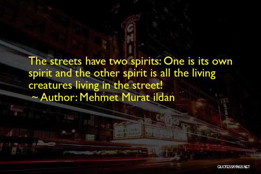 Mehmet Murat Ildan Quotes: The Streets Have Two Spirits: One Is Its Own Spirit And The Other Spirit Is All The Living Creatures Living