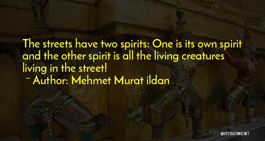 Mehmet Murat Ildan Quotes: The Streets Have Two Spirits: One Is Its Own Spirit And The Other Spirit Is All The Living Creatures Living