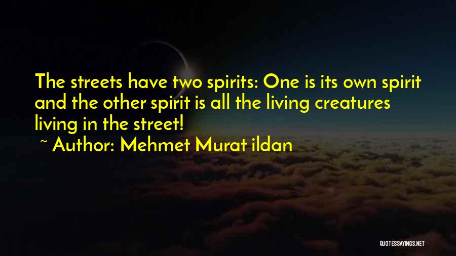 Mehmet Murat Ildan Quotes: The Streets Have Two Spirits: One Is Its Own Spirit And The Other Spirit Is All The Living Creatures Living