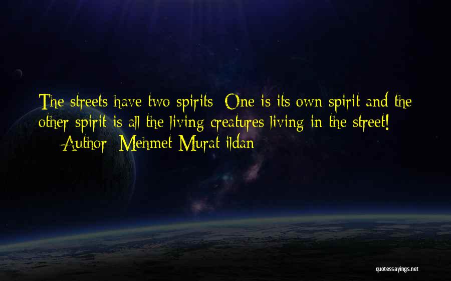 Mehmet Murat Ildan Quotes: The Streets Have Two Spirits: One Is Its Own Spirit And The Other Spirit Is All The Living Creatures Living