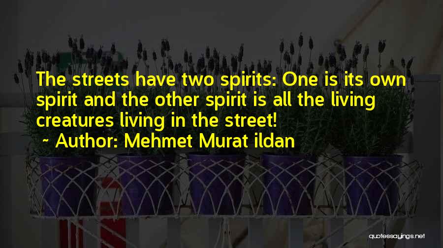 Mehmet Murat Ildan Quotes: The Streets Have Two Spirits: One Is Its Own Spirit And The Other Spirit Is All The Living Creatures Living