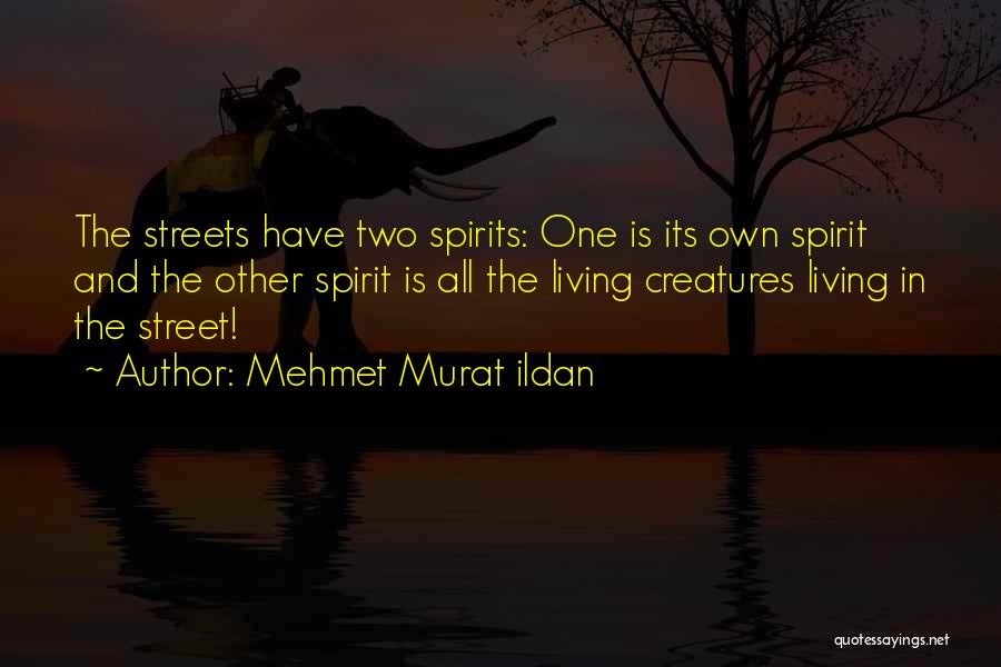 Mehmet Murat Ildan Quotes: The Streets Have Two Spirits: One Is Its Own Spirit And The Other Spirit Is All The Living Creatures Living