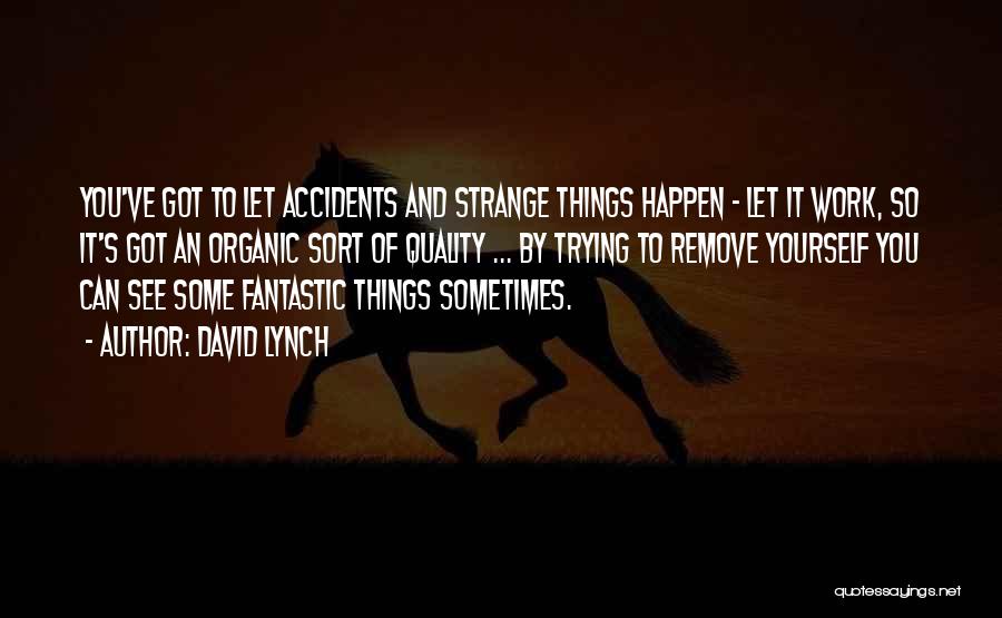 David Lynch Quotes: You've Got To Let Accidents And Strange Things Happen - Let It Work, So It's Got An Organic Sort Of